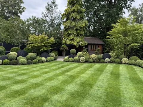 A striped lawn edged with clipped topiary and mature trees